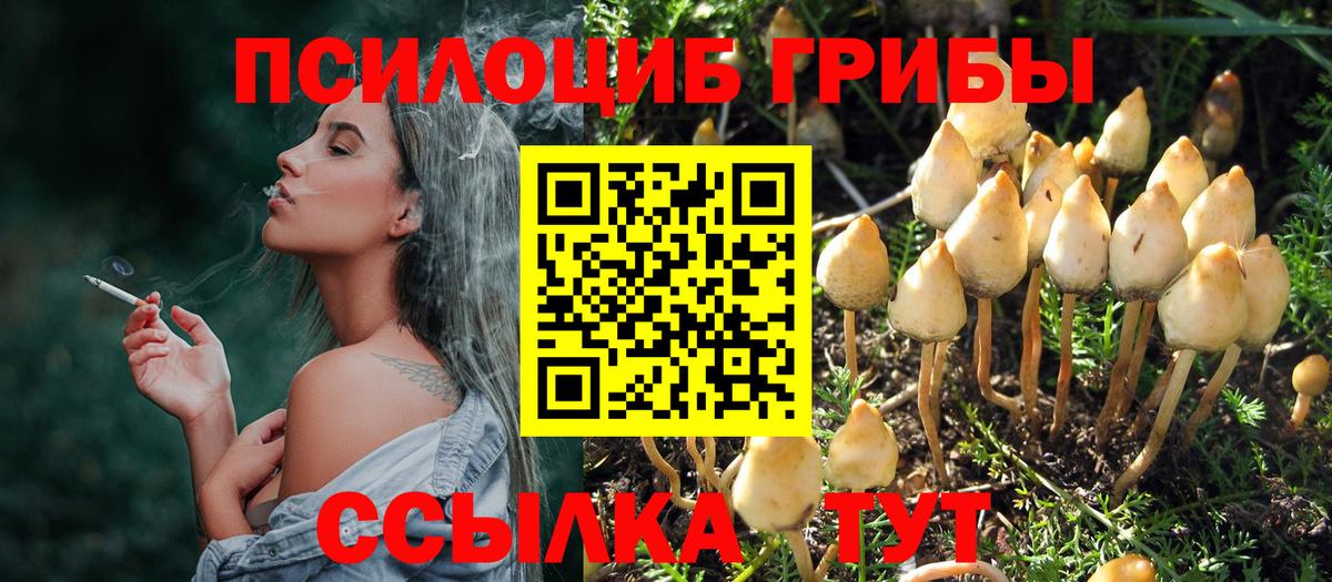 Уссурийск  Галлюциногенные грибы Psilocybine cubensis  цены наркотик  Вход с VPN 